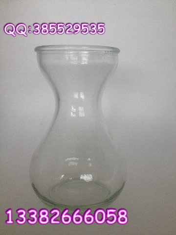 风信子玻璃瓶|风信子水培瓶|1